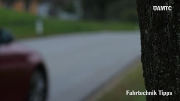 Wildwechsel - Fahrtechnik Tipps &copy;  