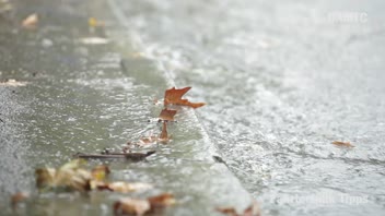 1910_Herbst_Tipps_Rutschlaub &copy;  