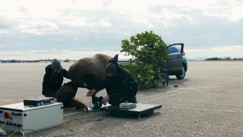 2004_Wildunfaelle_Crashtest &copy;  