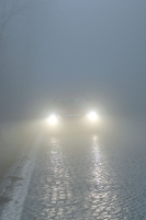 Fahren bei Nebel &copy; ÖAMTC
