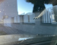 Steinschlag schnell reparieren lassen &copy;ÖAMTC/Kudlacek